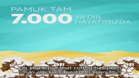 Animasyon Tanıtım Seslendirme 