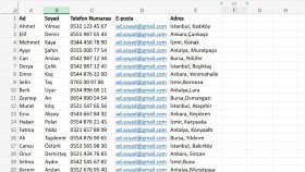 Basit Tablo ve Veri Girişi Örneği