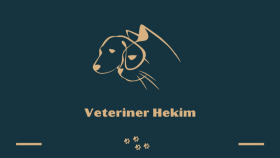 Kartvizitleriniz için hazırız