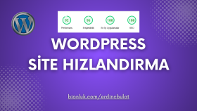 WordPress sitenizi hızlandırır, PageSpeed puanını artırırım