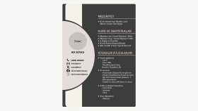 Etkileyici CV Tasarımı