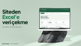 sitelerden veri çekip Excel raporu yaparım