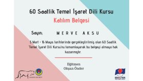 İş örneğim9