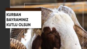 İş örneğim