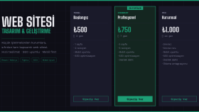 sizin için modern hızlı ve profesyonel web sitesi tasarlarım