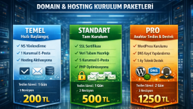 profesyonel domain ve hosting kurulum süreçlerini yönetirim