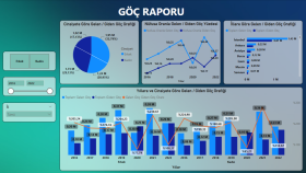 Göç Rapor Dashboard'ı