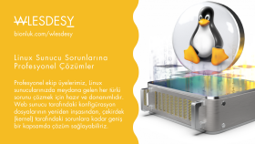 linux sunucu üzerinde oluşan sorunları çözebilirim