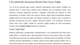 Misbahçe- SEO Blog İçeriği