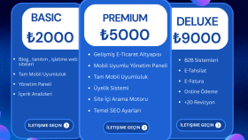 size özel profesyonel web sitesi tasarlıyorum
