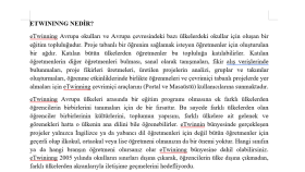 İngilizce veya Türkçe bir metin yazabilirim