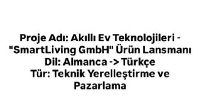 Profesyonel Dil Çözümleri