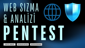 sitenize sızma testi (pentest) ve zafiyet analizi yaparım