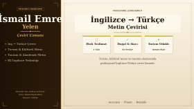 ingilizce dilinde kaliteli çeviri hizmeti sunuyorum