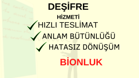 ses içerikleriniz ve el yazılarınızı word ortamına aktarırım
