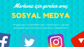 sm temel servis