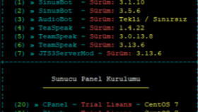 sizler icin bash script yazabilirim