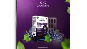 Sosyal medya tasarımları