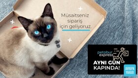 İlk Karşılaşma Önemlidir