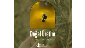Mert Zeytincilik