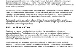 profesyonel İngilizce çeviri hizmeti sunuyorum