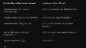 Kurumsal Web Sitesi Almanca Lokalizasyon Örneği