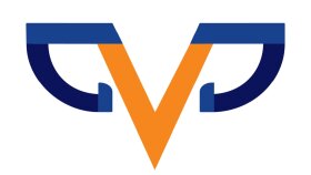 özgün ve profesyonel logo tasarımları hazırlıyorum