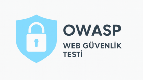 Demo OWASP Web Güvenlik Testi (Pentest Raporu)