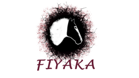 Yaptığım bir logo