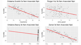 R, Python, SPSS, Jamovi, Excel Örnek Uygulamalar