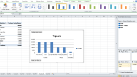 verilerinizi profesyonel Excel raporlarına dönüştürürüm