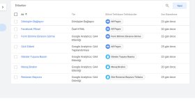 Web Sitesi Etkinlik İzleme Kurulumu (Tag Manager )