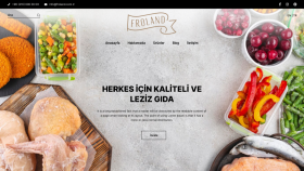 Froland Kurumsal Web Site Tasarımı