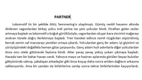 Stefan Zweig- Brennendes Geheimnis Kitabının Çevirisi