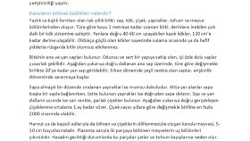 Bayer Bilgi Bankası Projesi