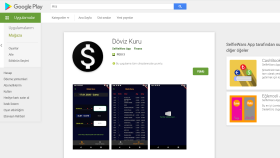 Döviz Kuru