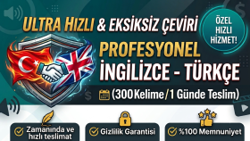 Türkçe - İngilizce Profesyonel Metin Çevirisi Örneği