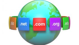domain ve hosting ayarı yapabilirim