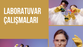 laboratuvar testleri hakkında yazı yazabilirim