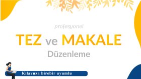  tez ve makaleleri kılavuza birebir uygun düzenlerim