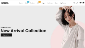 shopify web sitesi yaparım