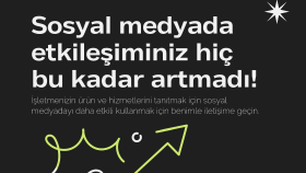 Profosyonel Emlak Tasarımları