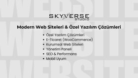 profesyonel özel yazılım web siteleri geliştiriyorum