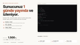 sunucunuzu 1 günde yayına alıp 7/24 izliyorum