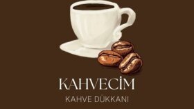 logo tasarlarım