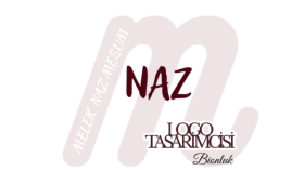 hayal gücümle gözünüze hitap eden logolar tasarlayabilirim