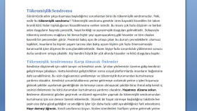 örnek 1