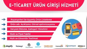 e-ticaret siteleri için ürün veri girişlerinizi yapabilirim