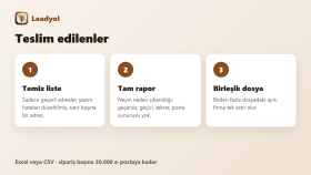 Teslim edilenler: temiz liste, rapor, birleşik dosya