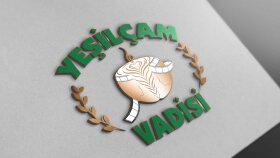 logo tasarımlarınızı yapabilirim